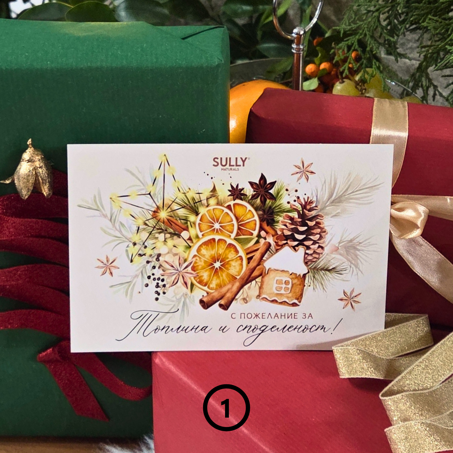 Коледна картичка „Топлина и споделеност“ SULLY Naturals сред зелени и червени подаръци, с илюстрация на портокалови резени, канела и бисквитка.